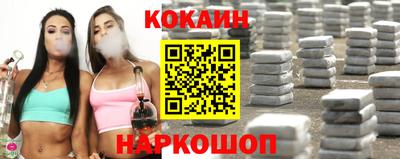 индика Шелехов