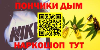 индика Шелехов
