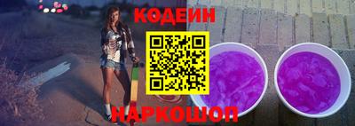 индика Шелехов